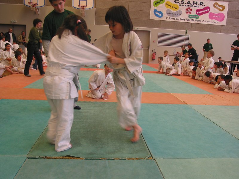 club judo viroflay